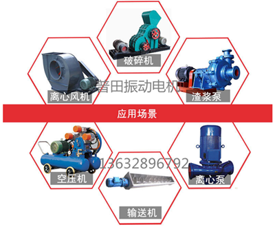 臥式三相振動電機(jī)